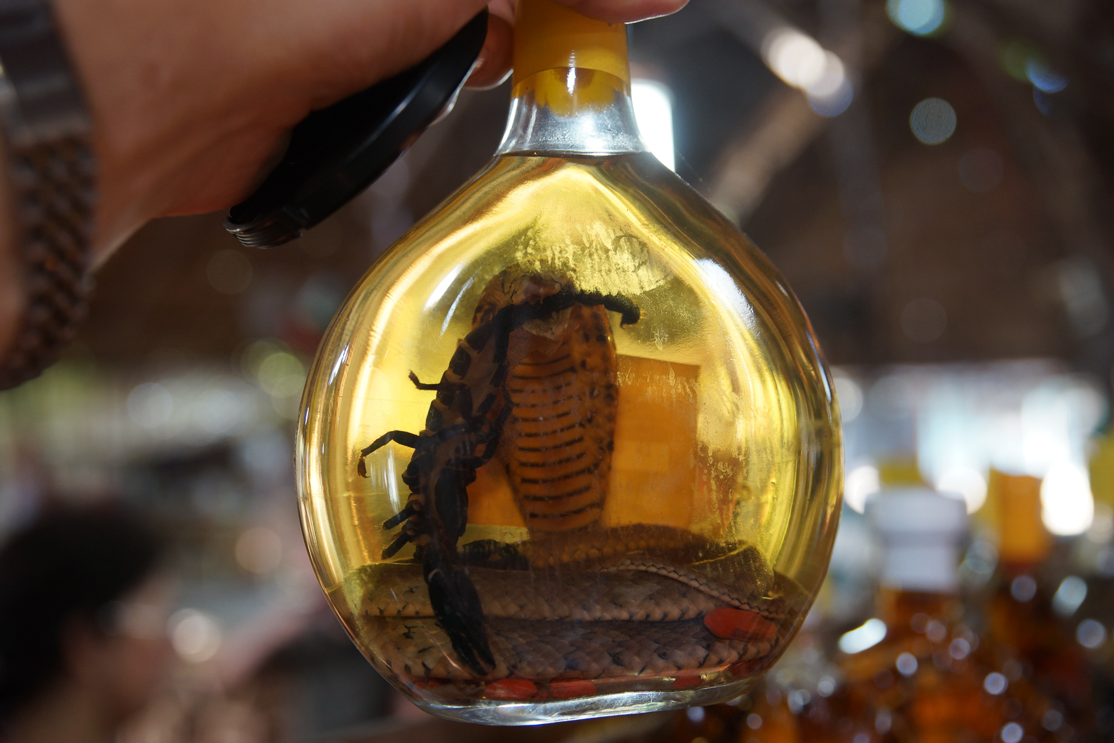 20141120 091347 Weg von can Tho nach Cai Be